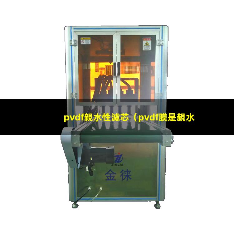 pvdf親水性濾芯
