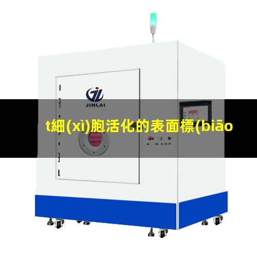 t細(xì)胞活化的表面標(biāo)志（t細(xì)胞活化表面標(biāo)志分子）