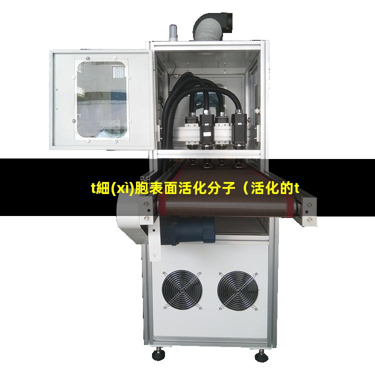 t細(xì)胞表面活化分子