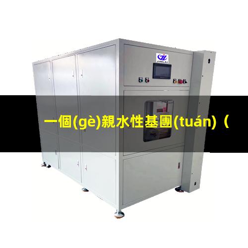一個(gè)親水性基團(tuán)