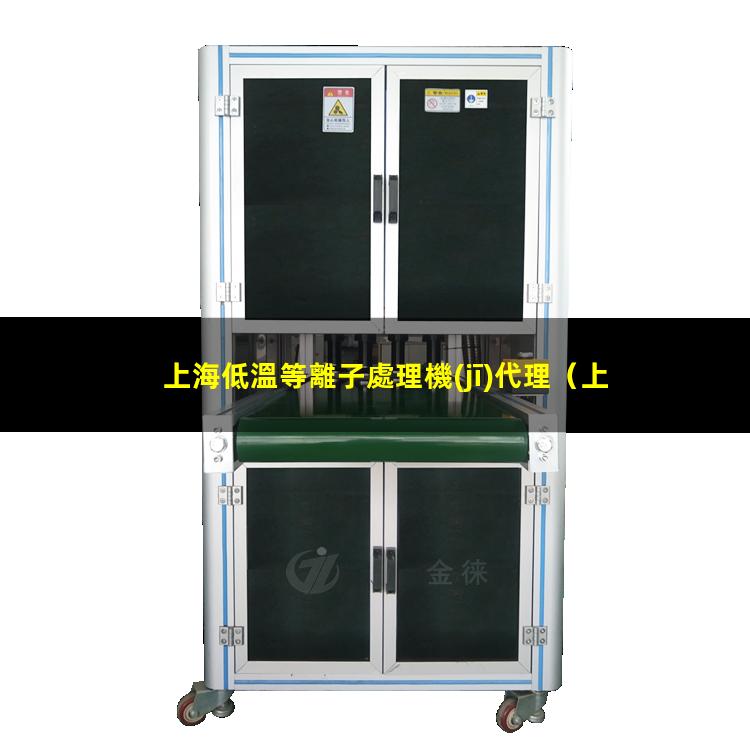 上海低溫等離子處理機(jī)代理
