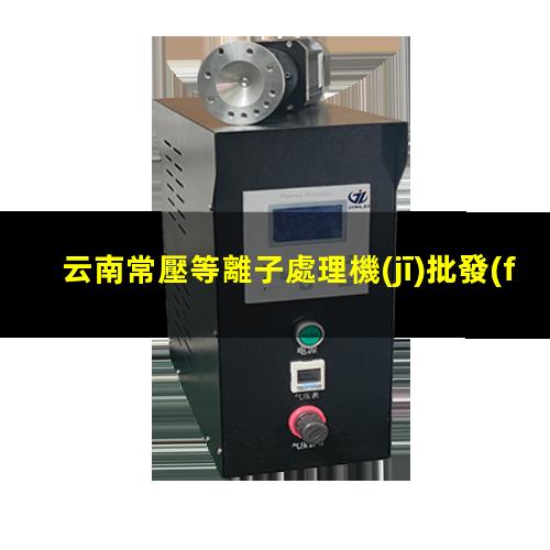 云南常壓等離子處理機(jī)批發(fā)