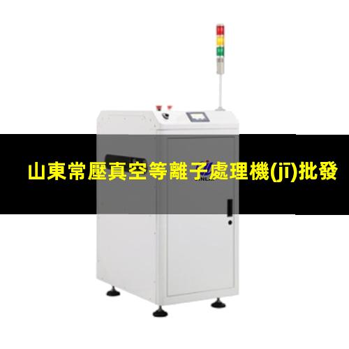 山東常壓真空等離子處理機(jī)批發(fā)
