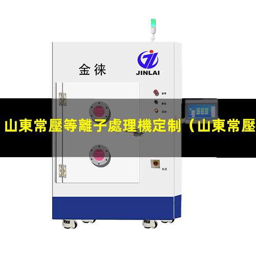 山東常壓等離子處理機定制