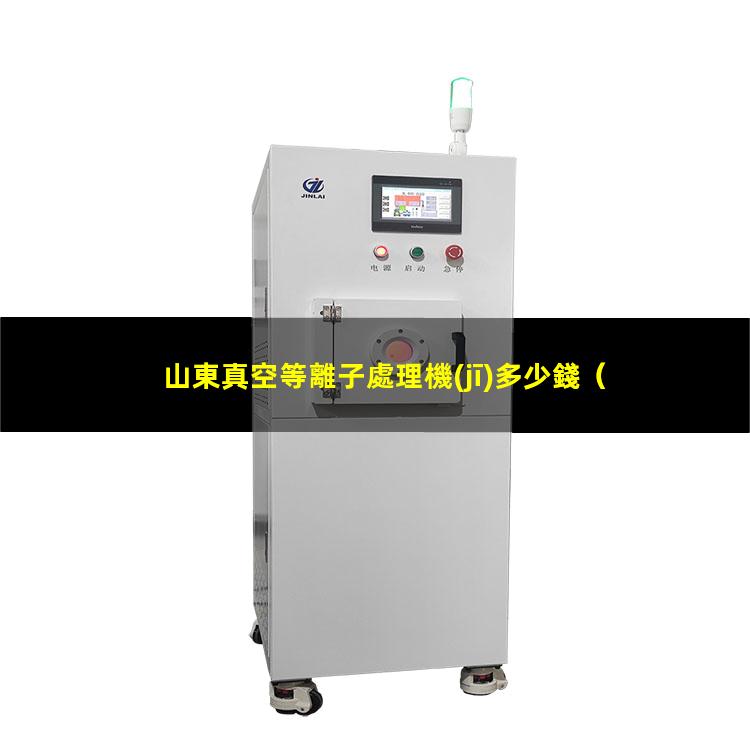 山東真空等離子處理機(jī)多少錢