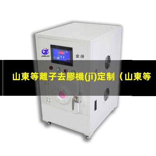 山東等離子去膠機(jī)定制