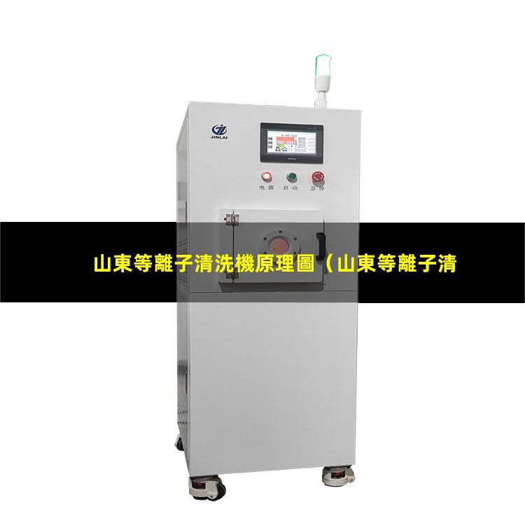 山東等離子清洗機原理圖