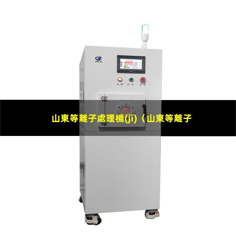 山東等離子處理機(jī)