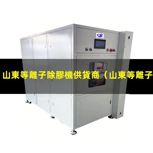 山東等離子除膠機供貨商