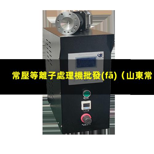 常壓等離子處理機批發(fā)
