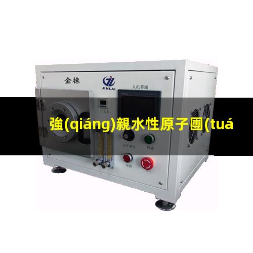 強(qiáng)親水性原子團(tuán)