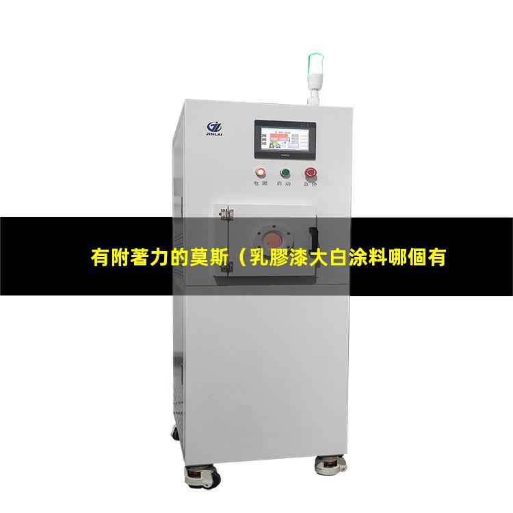 有附著力的莫斯