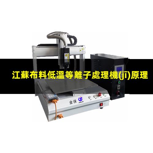 江蘇布料低溫等離子處理機(jī)原理