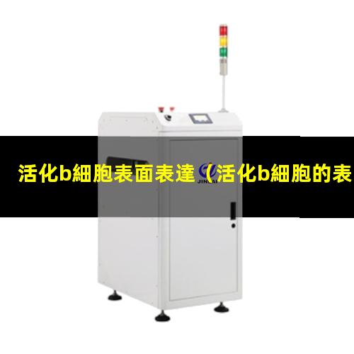 活化b細胞表面表達