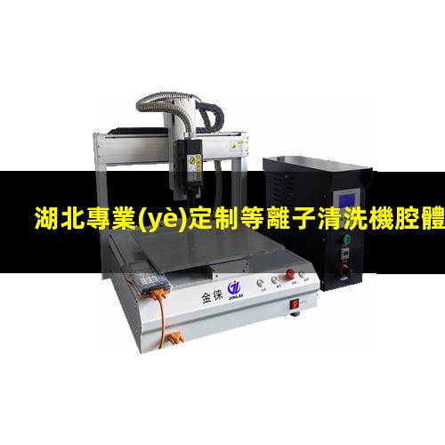 湖北專業(yè)定制等離子清洗機腔體價格合理