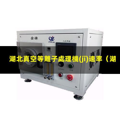 湖北真空等離子處理機(jī)速率
