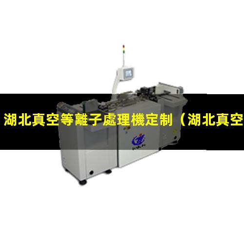 湖北真空等離子處理機定制