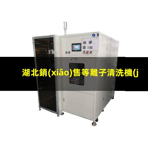 湖北銷(xiāo)售等離子清洗機(jī)腔體量大從優(yōu)