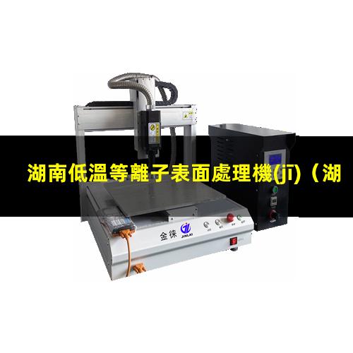 湖南低溫等離子表面處理機(jī)