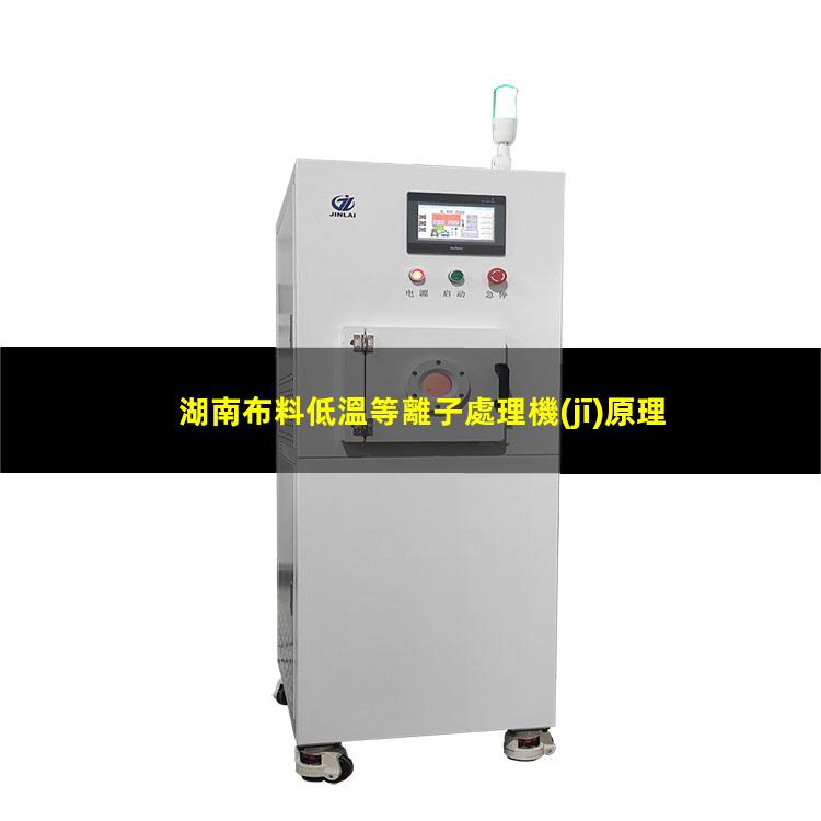 湖南布料低溫等離子處理機(jī)原理