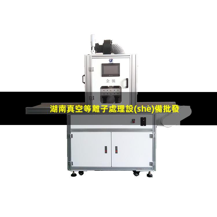 湖南真空等離子處理設(shè)備批發(fā)