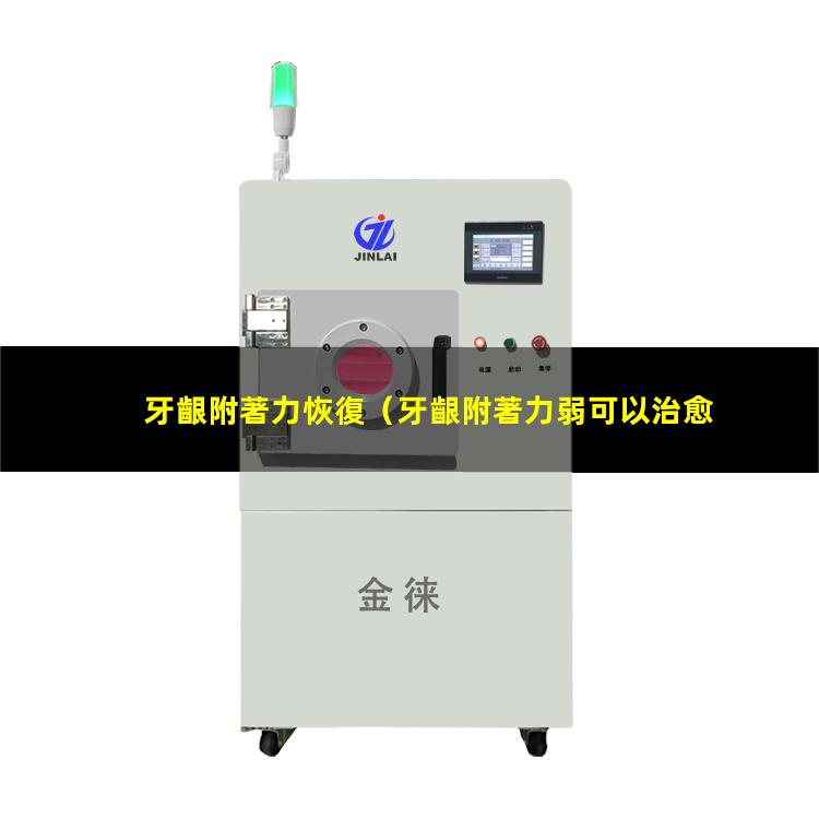 牙齦附著力恢復