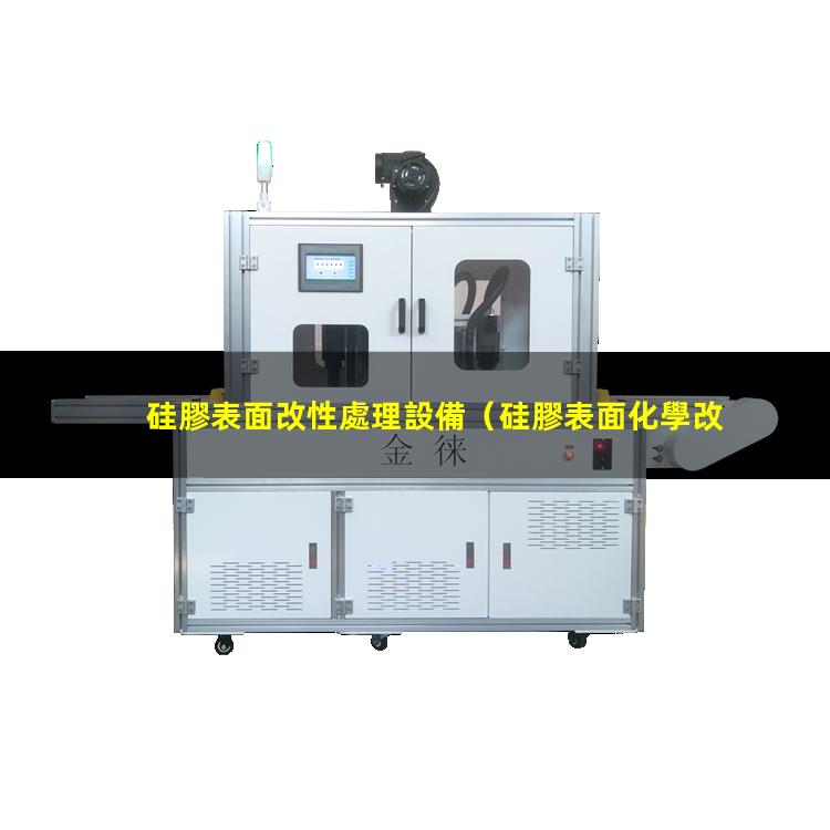 硅膠表面改性處理設備