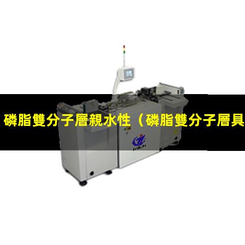 磷脂雙分子層親水性