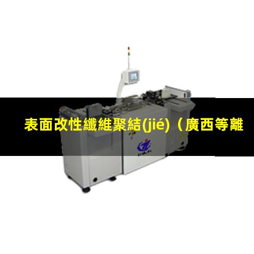 表面改性纖維聚結(jié)
