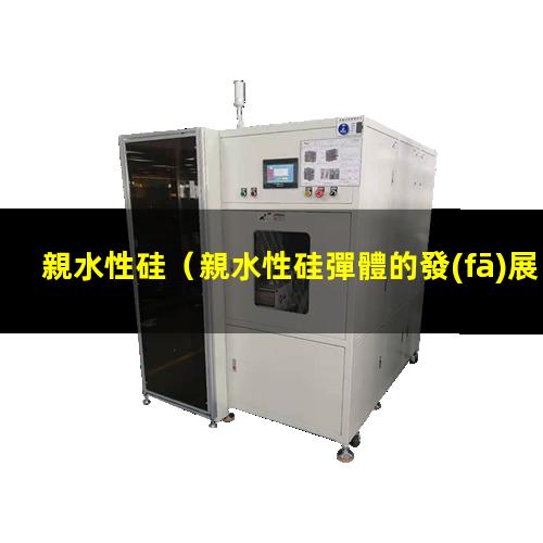 親水性硅