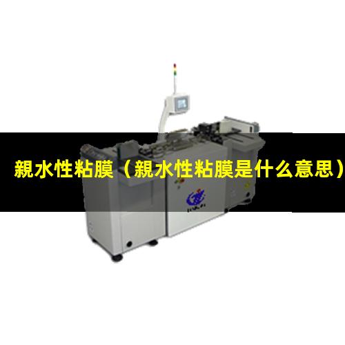 親水性粘膜