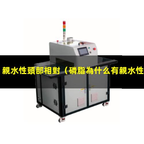 親水性頭部相對