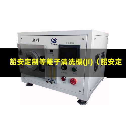 詔安定制等離子清洗機(jī)