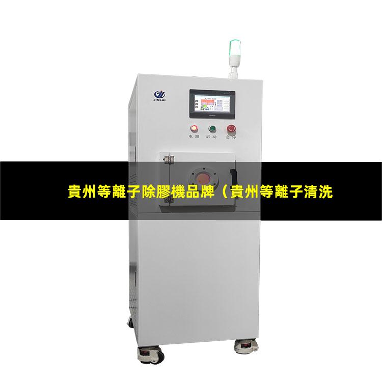 貴州等離子除膠機品牌