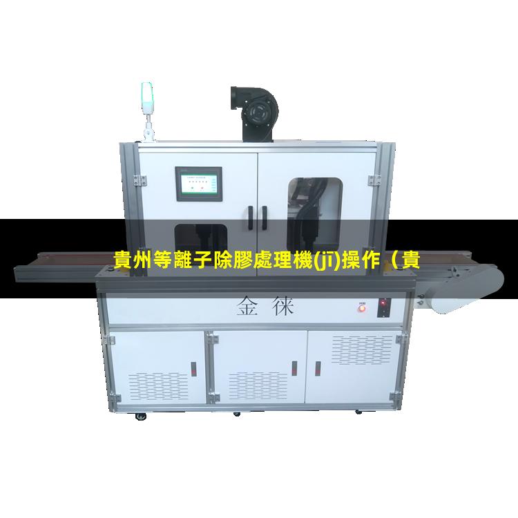 貴州等離子除膠處理機(jī)操作