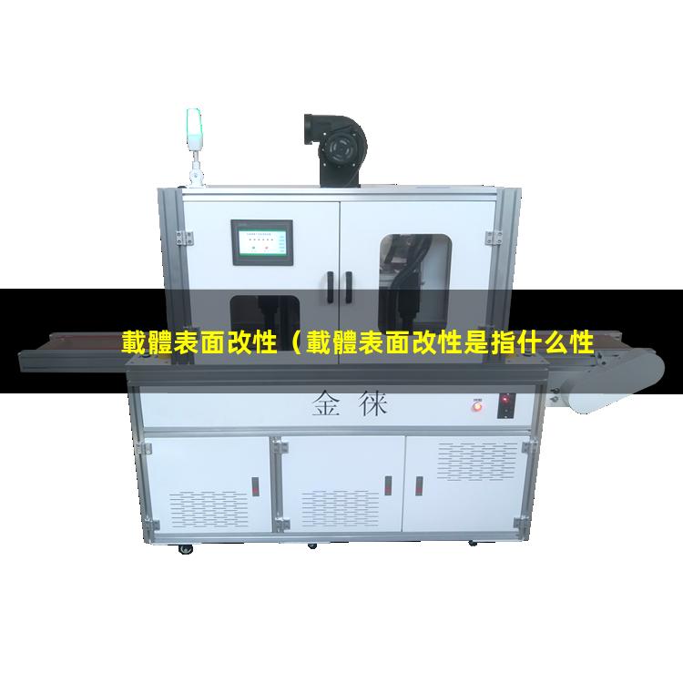 載體表面改性