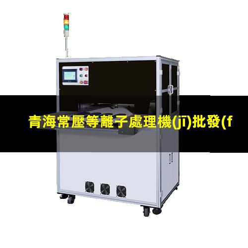 青海常壓等離子處理機(jī)批發(fā)