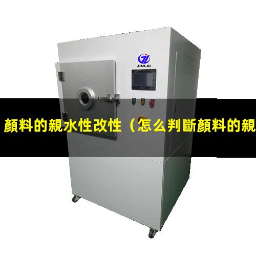 顏料的親水性改性