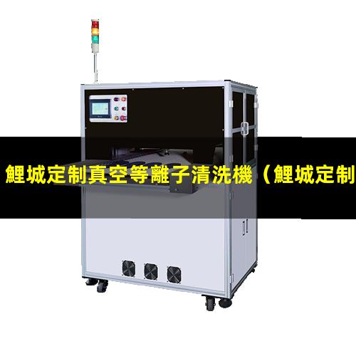 鯉城定制真空等離子清洗機